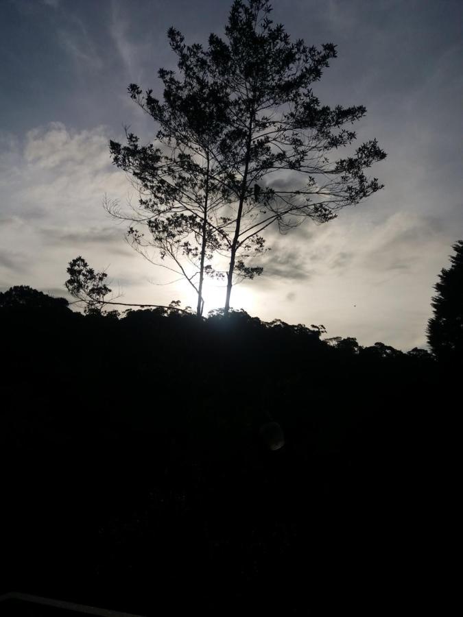 Quinta Los Volcanes Turrialba Kültér fotó