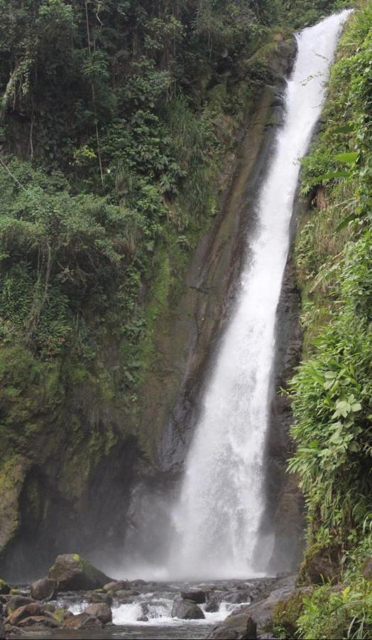 Quinta Los Volcanes Turrialba Kültér fotó