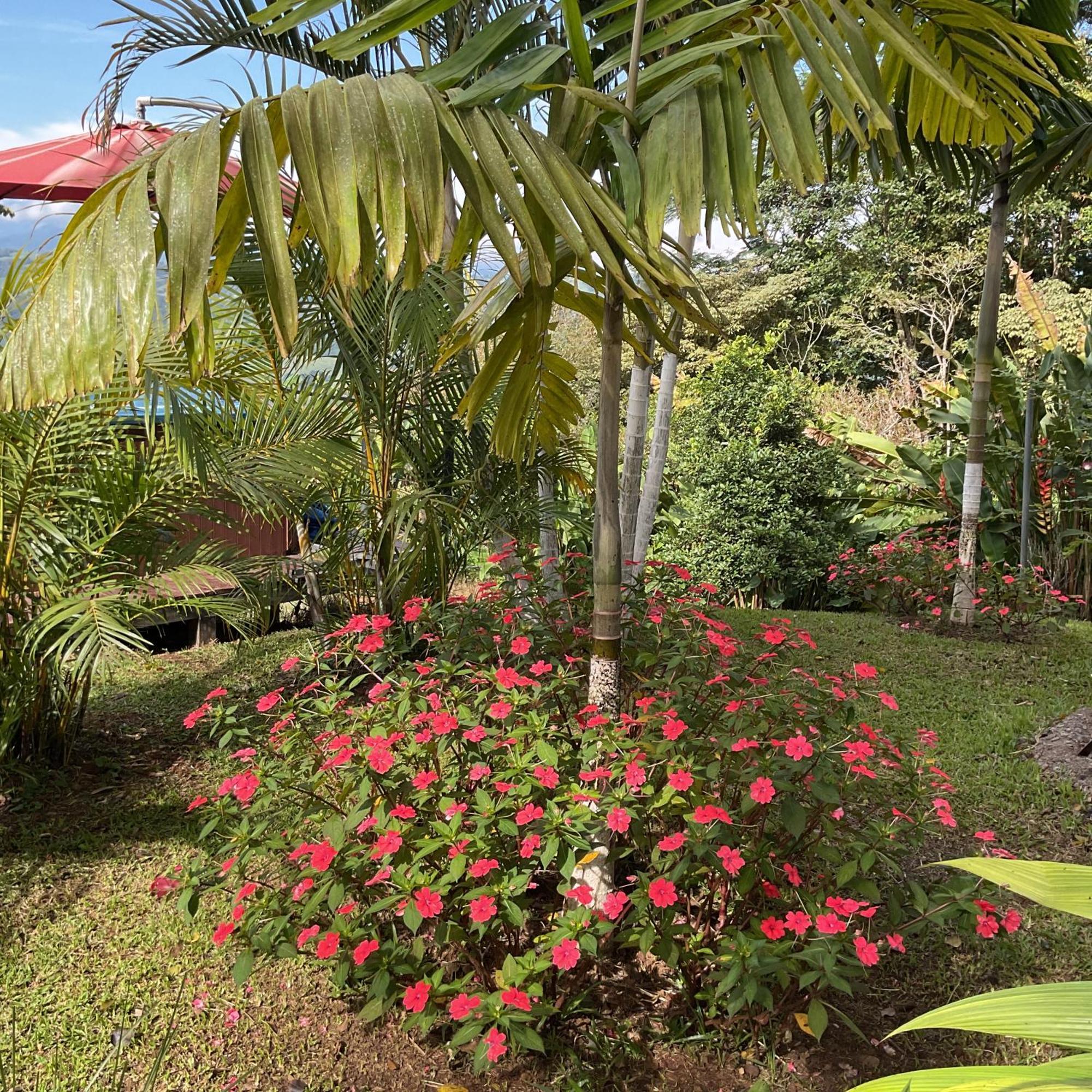 Quinta Los Volcanes Turrialba Kültér fotó