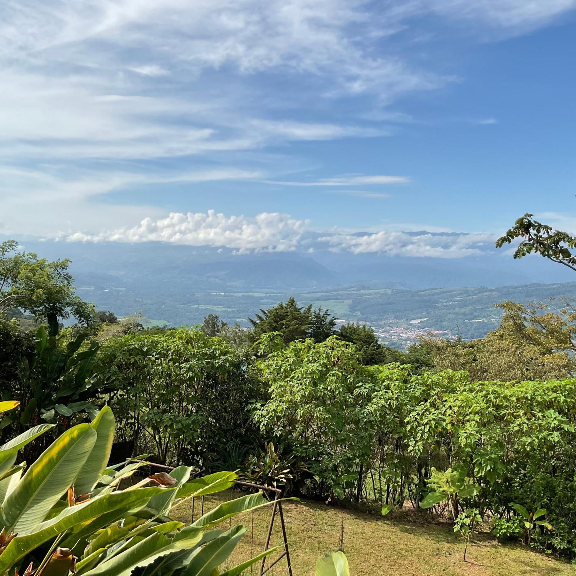 Quinta Los Volcanes Turrialba Kültér fotó