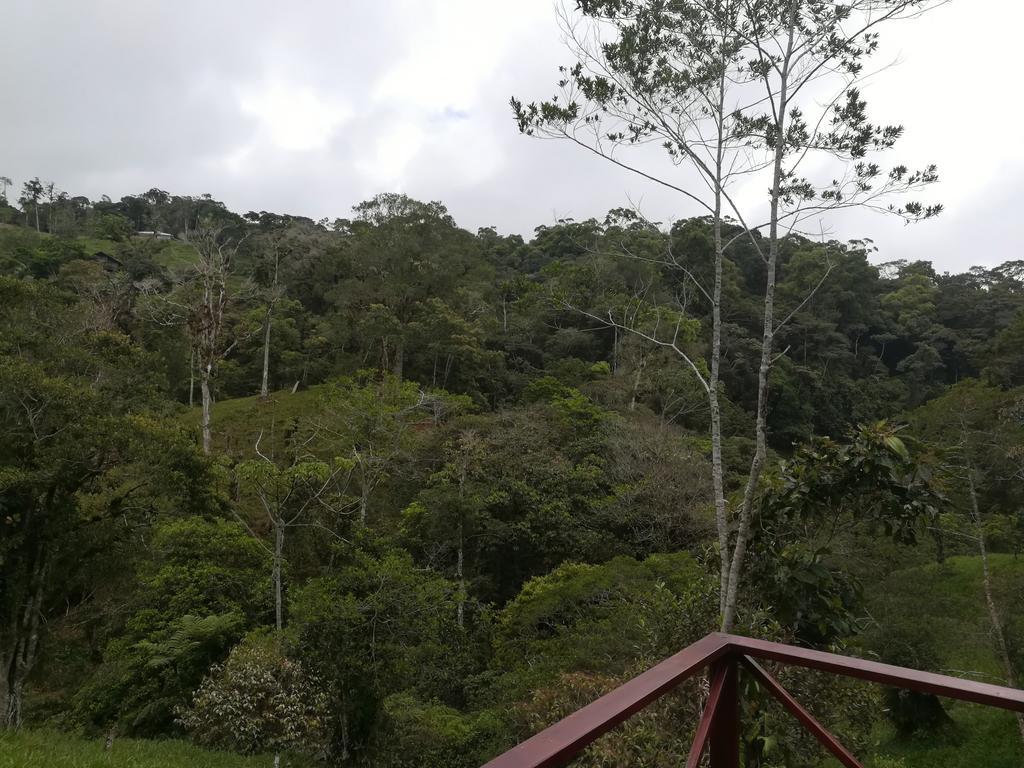 Quinta Los Volcanes Turrialba Kültér fotó